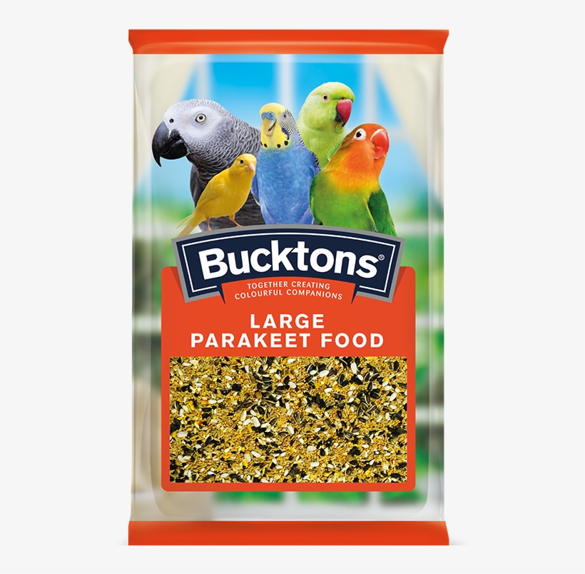 Large Parakeet - Bucktons Small Parakeet, transparent png download