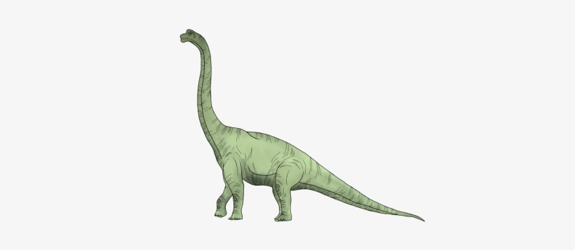 Opinion - Brachiosaurus 2016, transparent png download