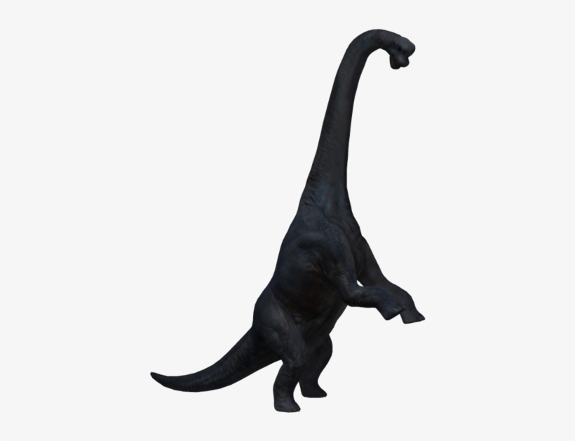 Brachiosaurus Png Hd - Brachiosaur Png, transparent png download