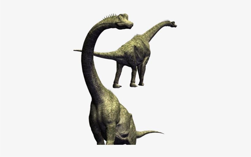 Brachiosaurus - Hd Dinosaurs Transparent Png, transparent png download