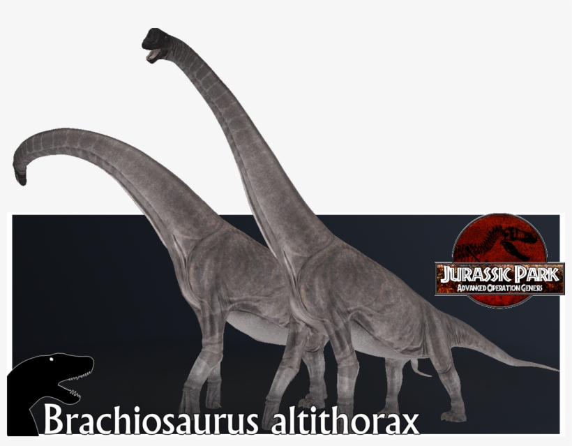 Report Rss Brachiosaurus Altithorax Render - Jurassic Park: Operation Genesis, transparent png download