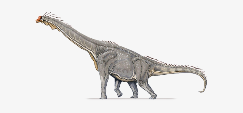 Brachiosaurus Hind Leg, transparent png download