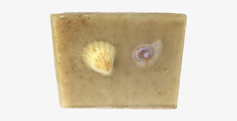 By The Sea "shell" - Soap, transparent png download