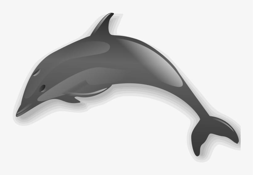 File - Dolphin - Svg - Dolphin Clip Art, transparent png download