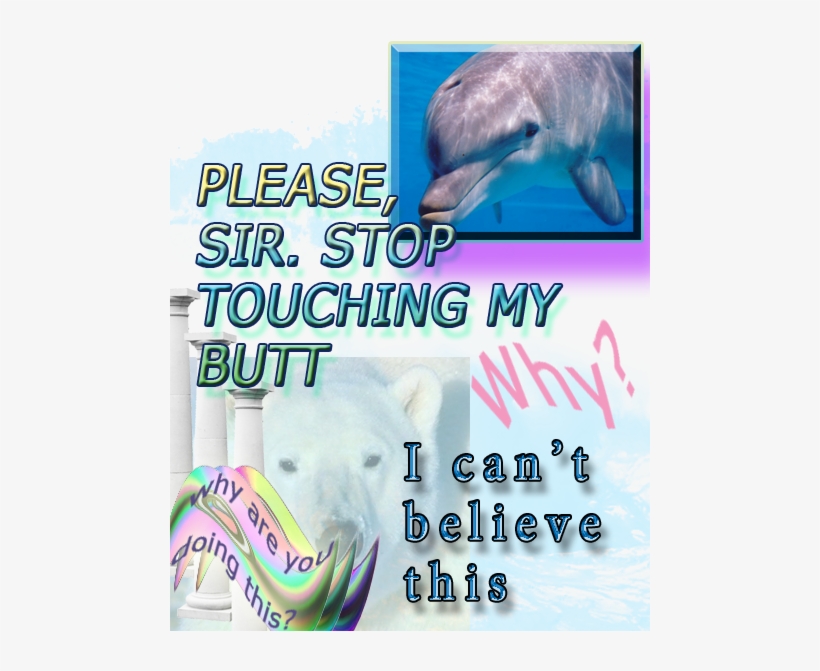 #seapunk #graphics #design #pop #dolphine - Common Bottlenose Dolphin, transparent png download