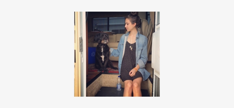 Elle A Un Chien Qui S'appelle Charleston Zappab - Troian Bellisario, transparent png download