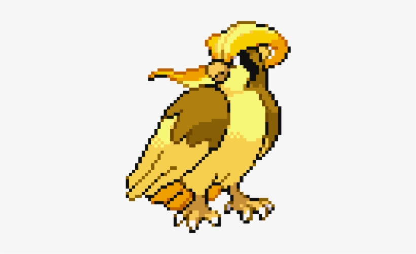 Pidgeot 3 Years Ago - Pokemon, transparent png download