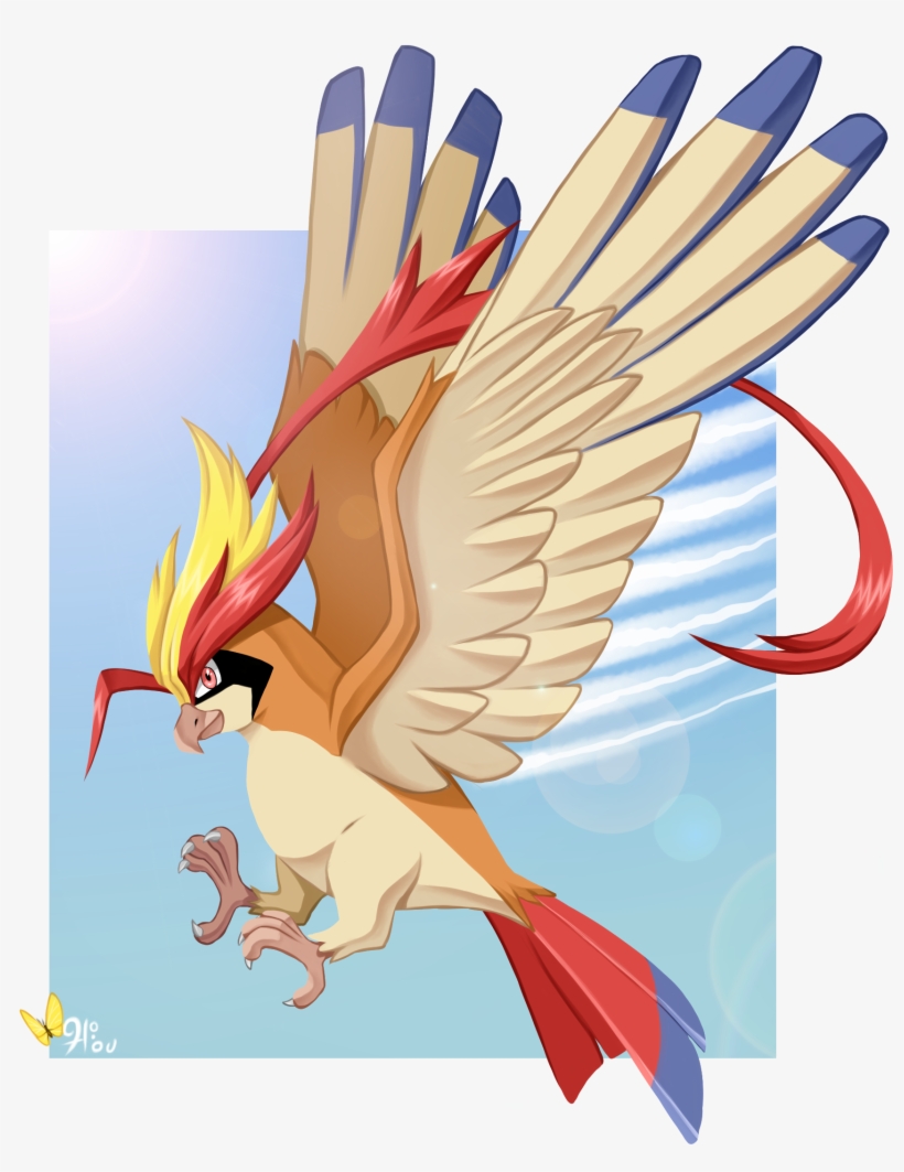 Pidgeotmegaswoop - Illustration, transparent png download