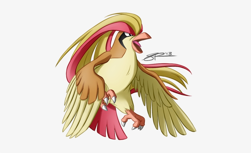 Day 8 - Favorite Flying-type - Pidgeot - Cockatiel, transparent png download