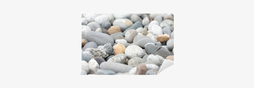 Pebble, transparent png download