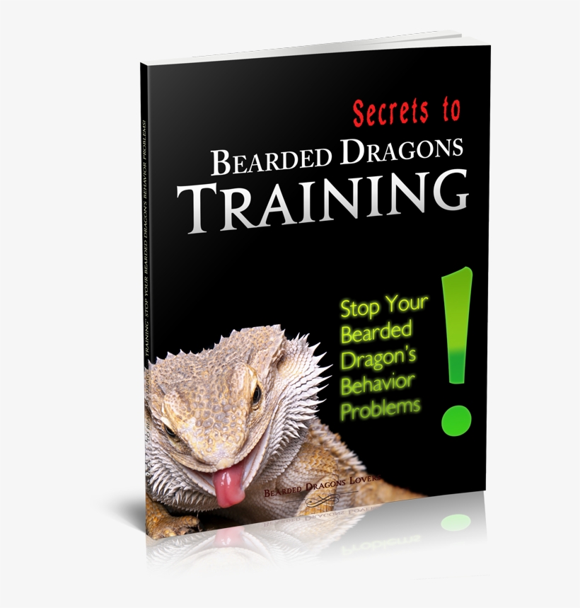 Secrets To Bearded Dragons Training - Besrded Dragon Xmas Stocking, transparent png download