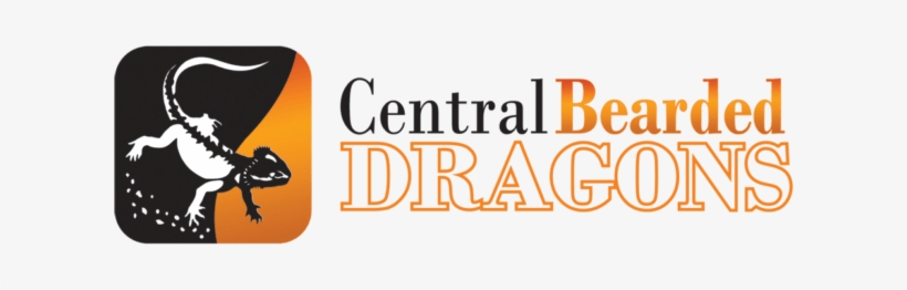 The Home Of The Bearded Dragon - Weight Control: How Your Diet Can Help, transparent png download