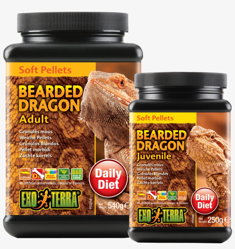 Related Products - Adult Bearded Dragon - Exo Terra, transparent png download