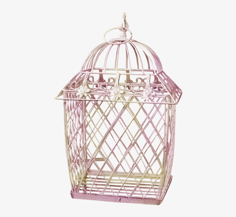 Empty Bird Cages - Cage, transparent png download