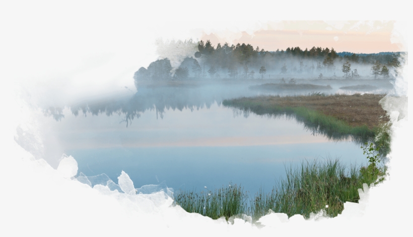 Overcomer Хаcки - Photograph, transparent png download