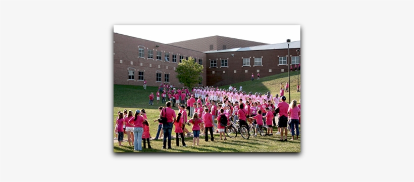 Stxe Shar.ratio 50 Nr Eur, transparent png download