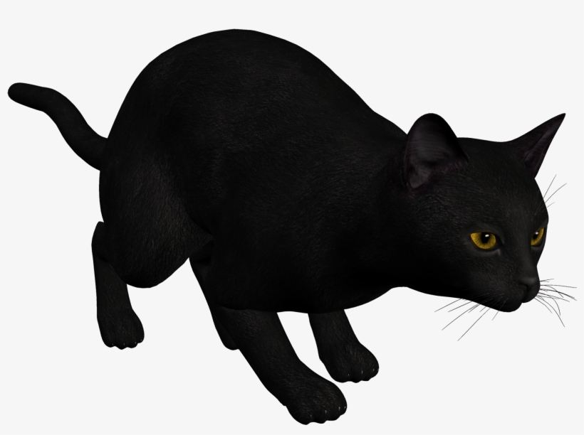 Cat Black Png Clipart - Cat Black Clipart, transparent png download