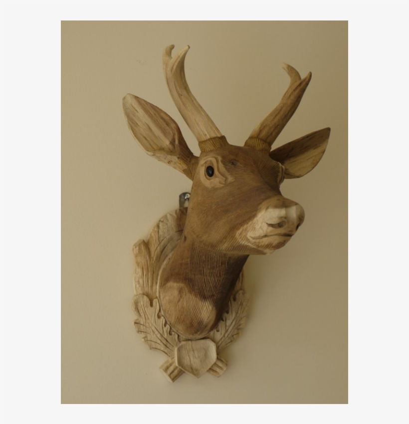 Deer, transparent png download