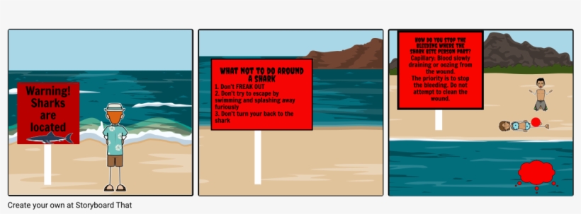 Shark Attack - Sea, transparent png download