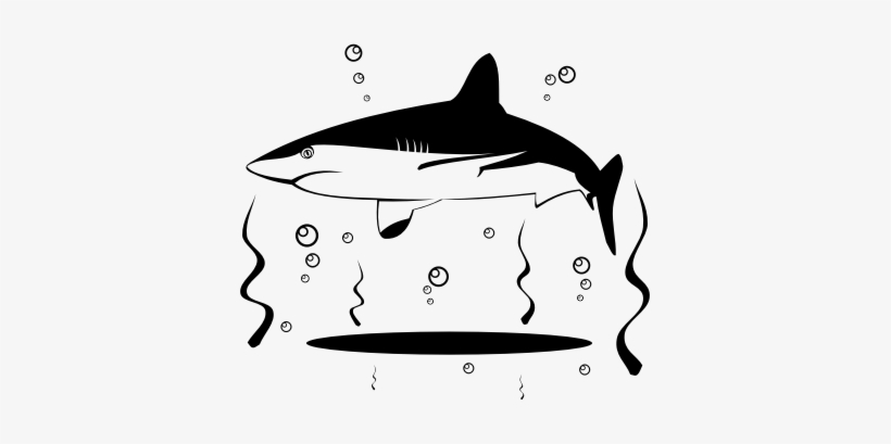 Shark Vector, transparent png download