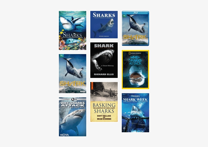 Cinema Libre Studios Sharks [dvd] Usa Import, transparent png download