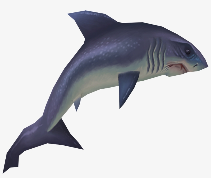 Raw - Shark Fish Png, transparent png download