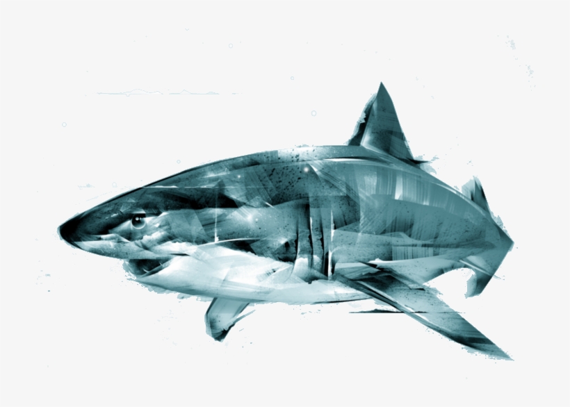 Animus - Great White Shark, transparent png download