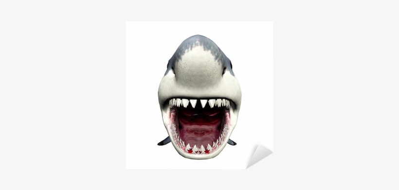 Aslan Bedruckbare Antirutschfolie Print'n Go Dfp 44, transparent png download