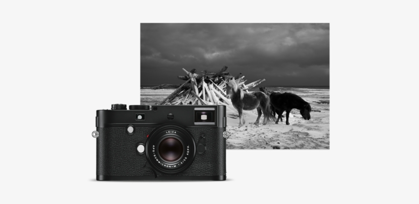 The Next Level - Leica M Monochrom Body (typ 246), transparent png download
