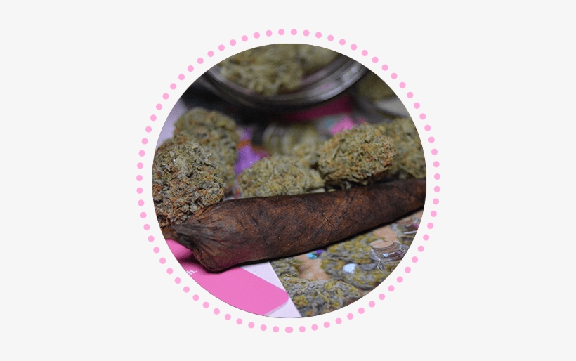 Backwoods - Capitol Rotunda, transparent png download