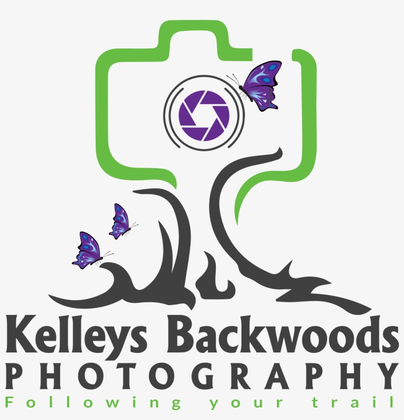 Nature Photography, transparent png download