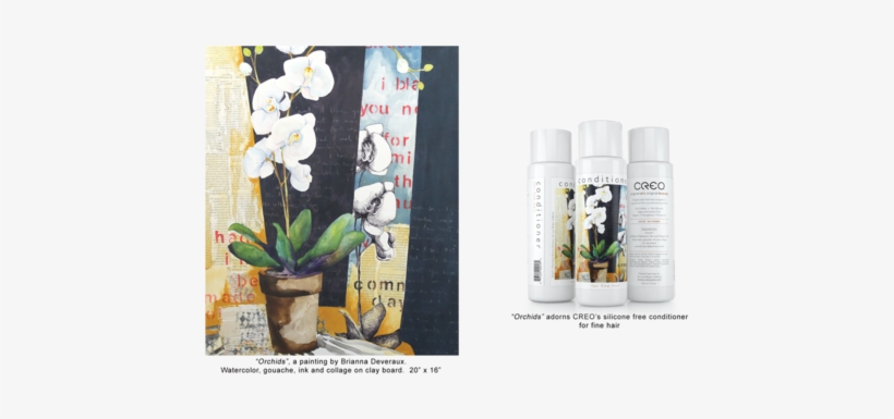 Each Bottle Possesses A Depth And Character That Stirs - Creo Hair Care Trilogy For Fine Hair, transparent png download