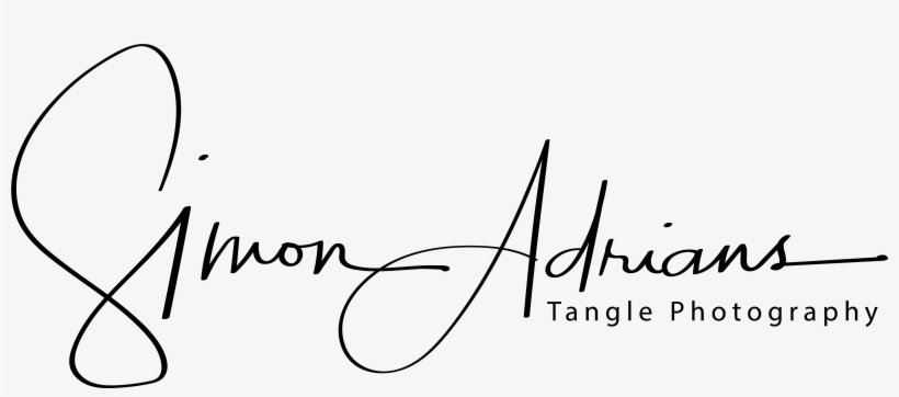 Tangle Photography - Calligraphy, transparent png download