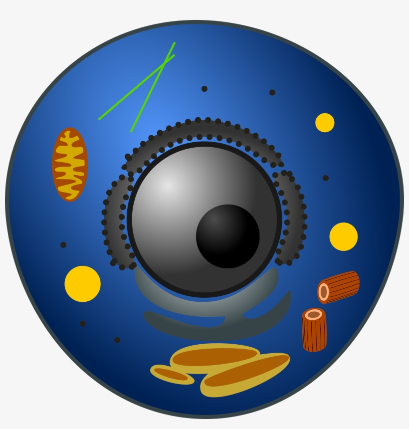 New Year And New Units We Jumped Into Life Science - Plant Cell, transparent png download