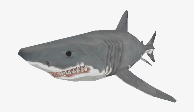 Download Zip Archive - Tiger Shark, transparent png download