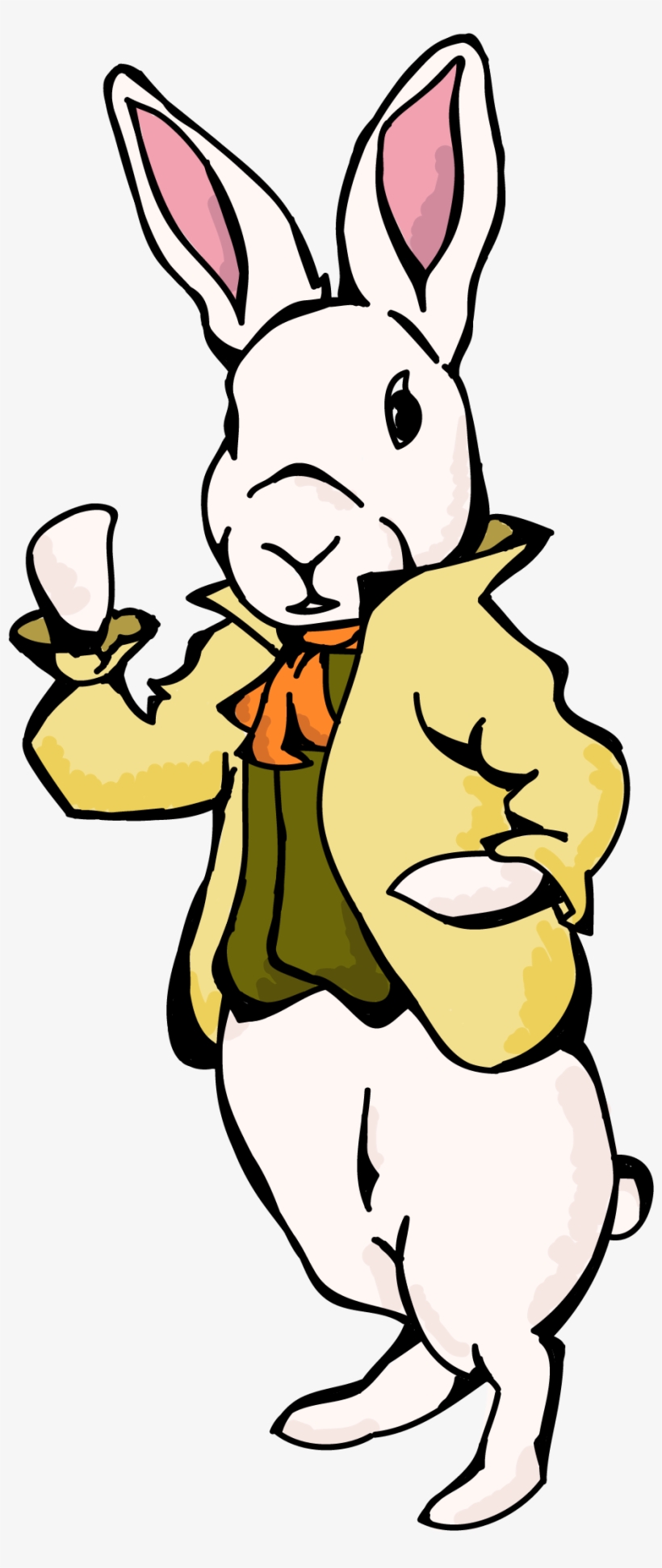 They Are Called By Many As Matt And Boris - Rabbit, transparent png download