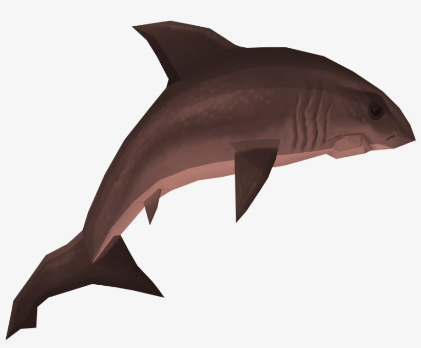 Raw Great White Shark Runescape Wiki - Shark Runescape, transparent png download