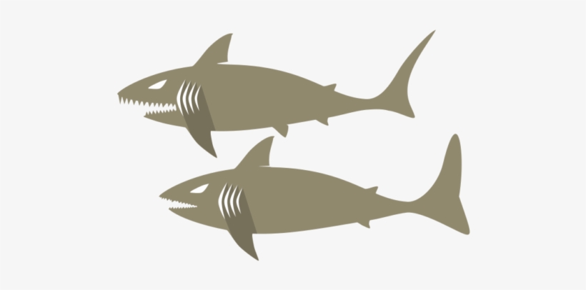 Tubarao - Tubrao - Shark - รูป กราฟฟิก ฉลาม, transparent png download