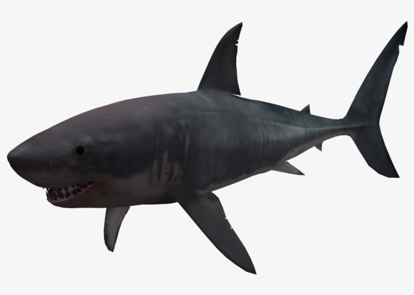 Hd Shark Silhouette Png, transparent png download