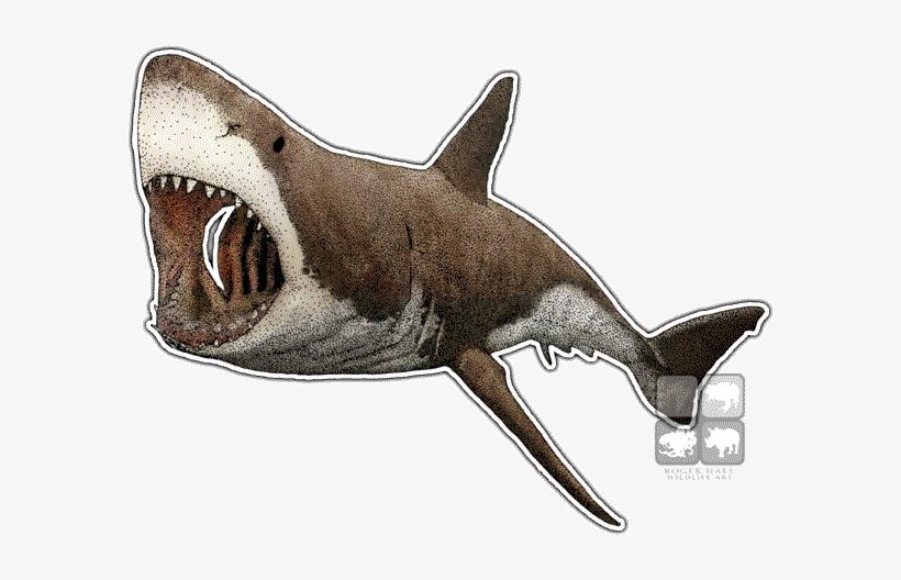 Great White Shark Art Decal - Great White Shark Mug, transparent png download