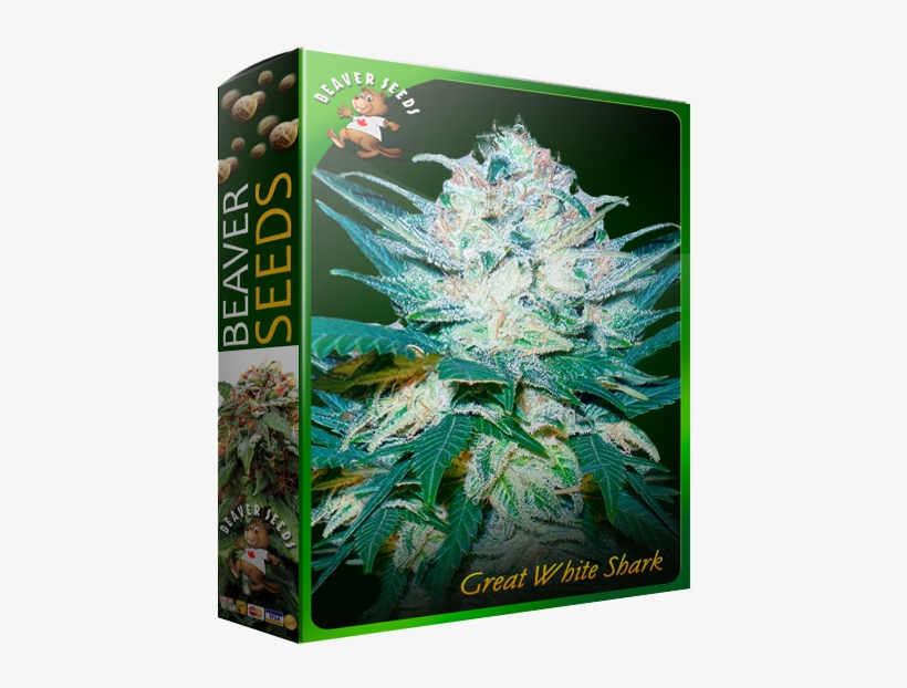 Great White Shark - Cannabis, transparent png download