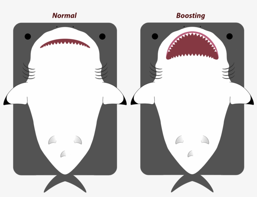 Animal[animal] Updated Great White/shark - Requiem Shark, transparent png download