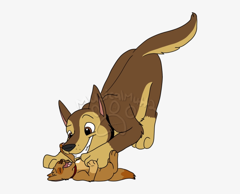 paw patrol pups get a skye