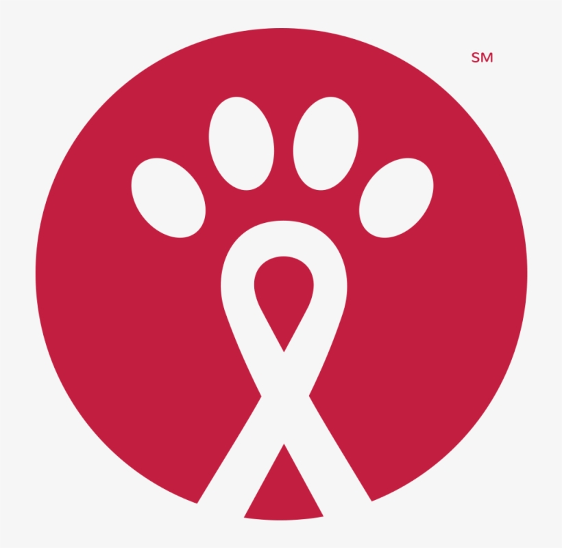 Circle, transparent png download