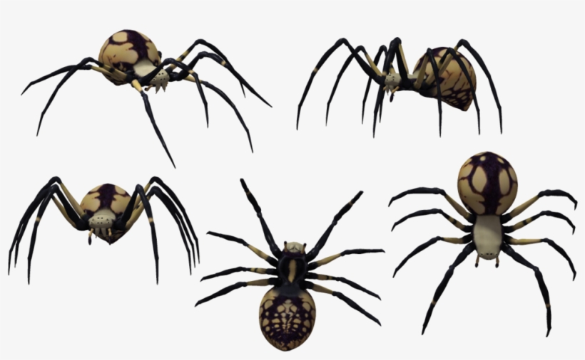 Black Widow Spider Art - Latrodectus Tredecimguttatus, transparent png download
