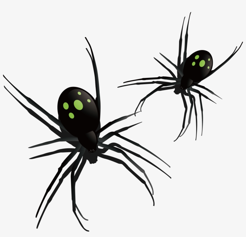 Southern Black Widow Spider Insect Pattern - Southern Black Widow, transparent png download