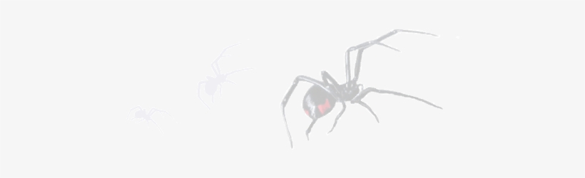 Black Widow Side Image - Black Widow, transparent png download