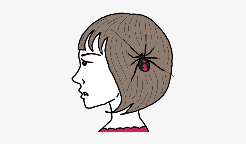 Spider, transparent png download