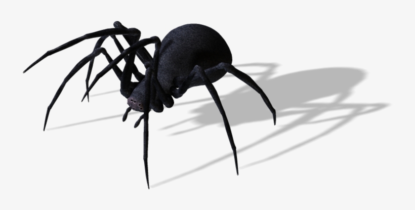 Publicat De Eu Ciresica La - Bug, transparent png download