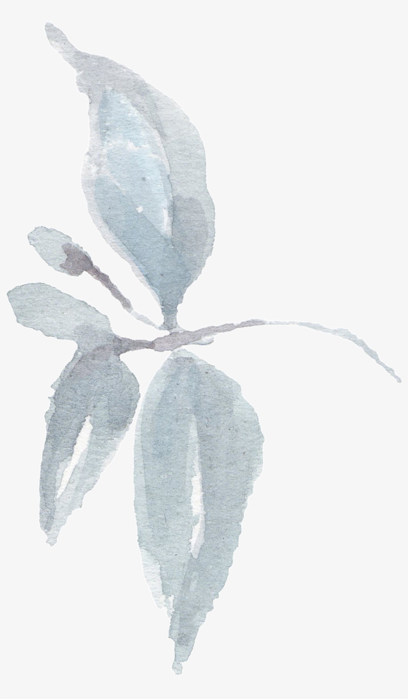 Hand-painted A Branch Of A Branch Watercolor Transparent - Watercolor Painting, transparent png download
